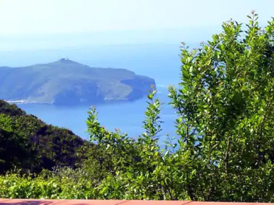 La Villa Di Nonna Angela Pisciotta Exterior foto
